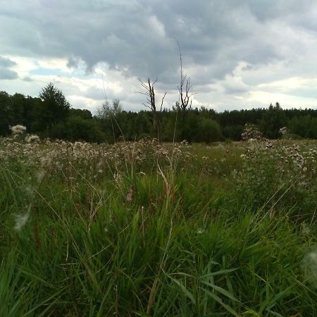 Chamedafne W Puszczy Kampinoskiej Brochów 外观 照片