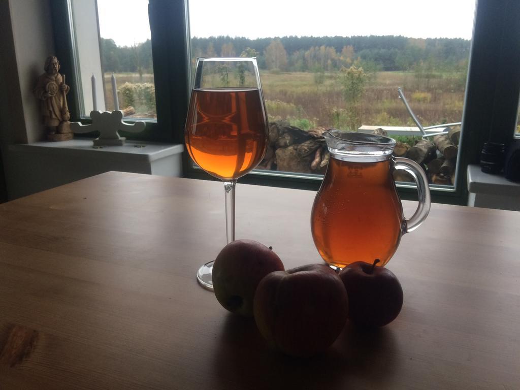 Chamedafne W Puszczy Kampinoskiej Brochów 外观 照片