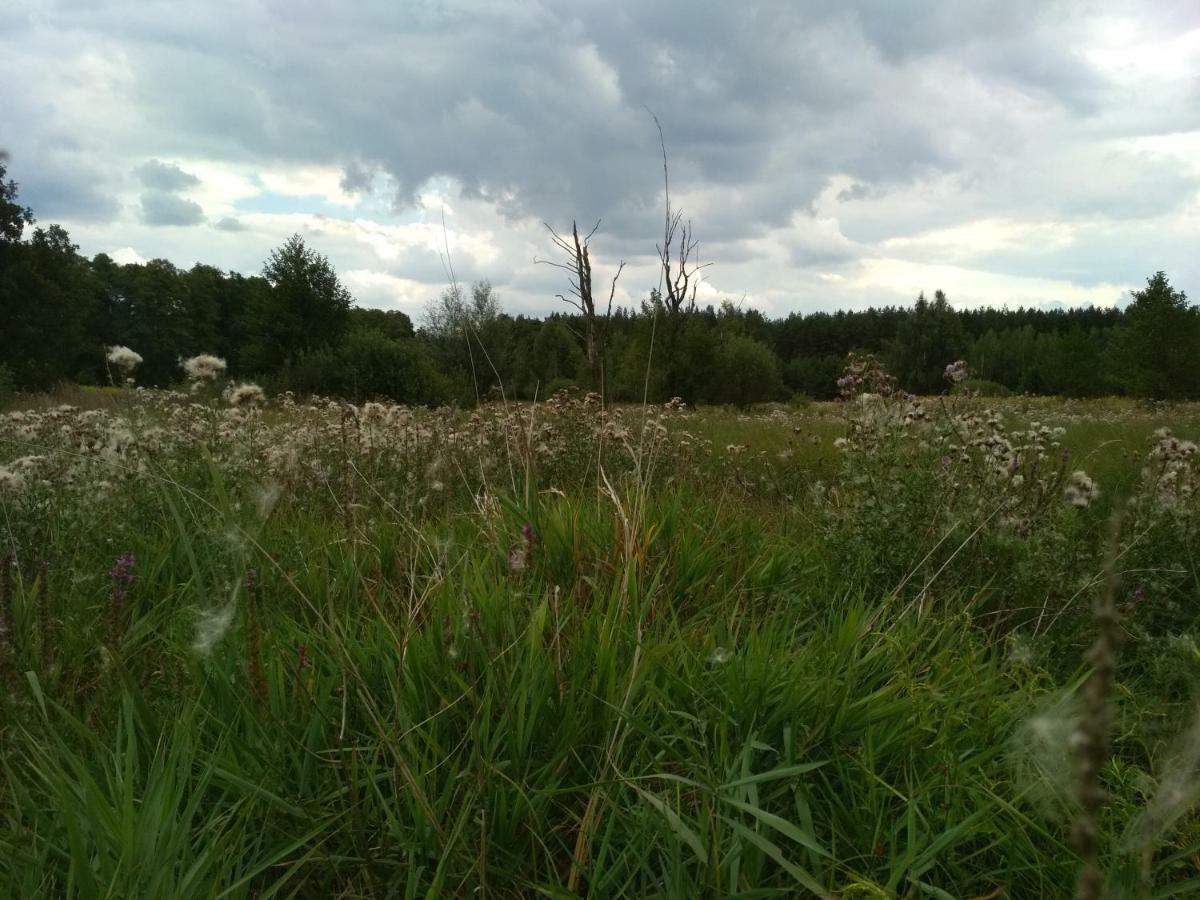Chamedafne W Puszczy Kampinoskiej Brochów 外观 照片